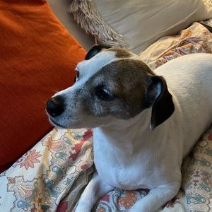 Meet your Posher, Samantha